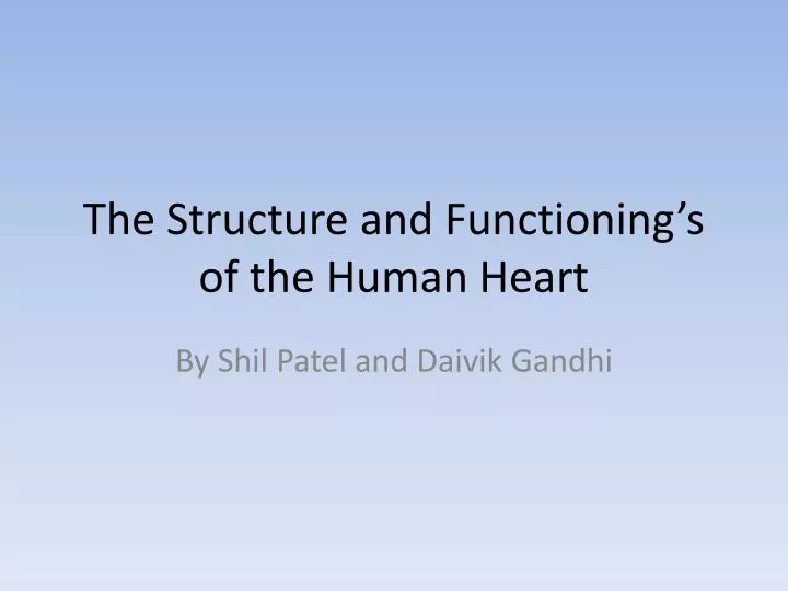 the structure and functioning s of the human heart