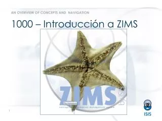1000 introducci n a zims