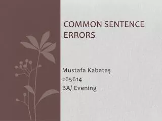 Common sentence errors