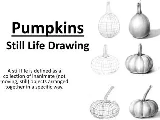 Pumpkins Still Life Drawing