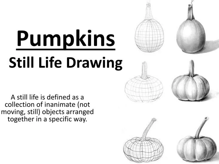 pumpkins still life drawing