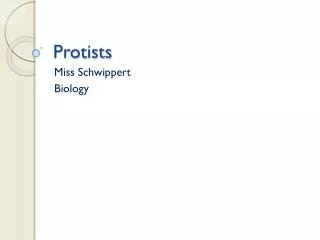 Protists