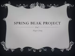 Spring Beak Project