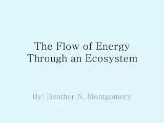 The Flow of Energy Through an Ecosystem