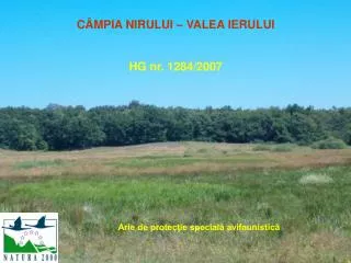 CÂMPIA NIRULUI – VALEA IERULUI HG nr. 1284/2007