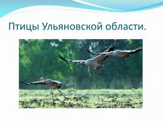 Птицы Ульяновской области.