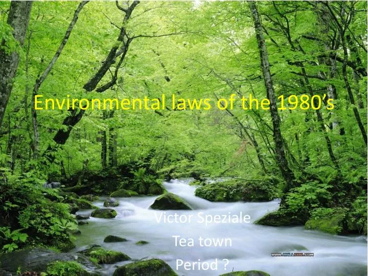 environmental laws of the 1980 s