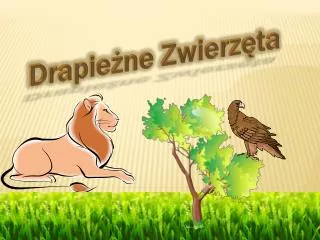 drapie ne zwierz ta