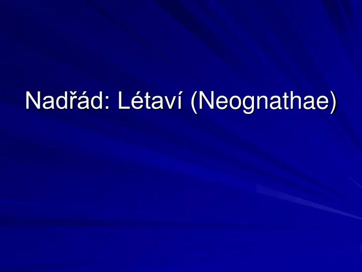 nad d l tav neognathae