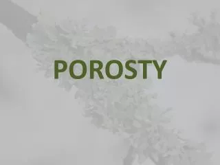 POROSTY
