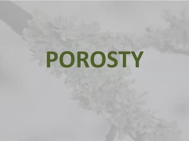 porosty