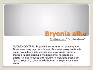 bryonia alba