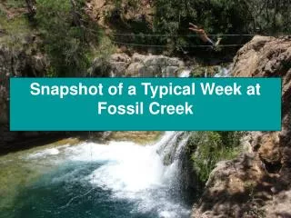 Snapshot of a Typical Week at Fossil Creek