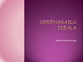 Ordenagailu ideala