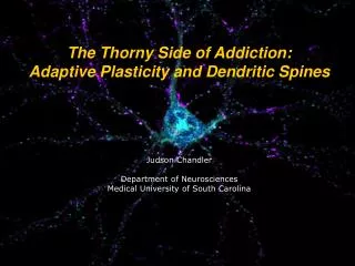 The Thorny Side of Addiction: Adaptive Plasticity and Dendritic Spines Judson Chandler