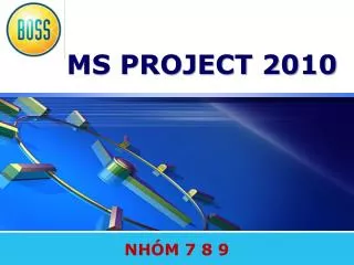 ms project 2010