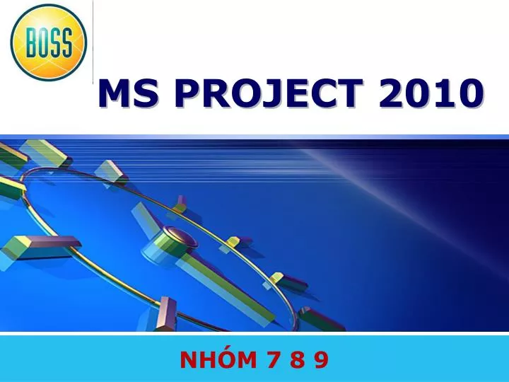 ms project 2010