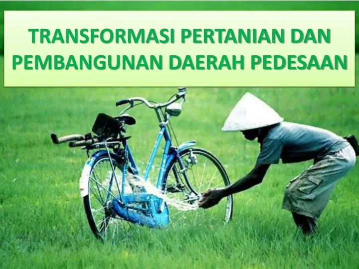 transformasi pertanian dan pembangunan daerah pedesaan