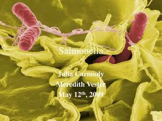 Salmonella