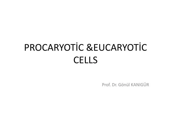 procaryot c eucaryot c cells