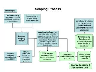 Scoping Process