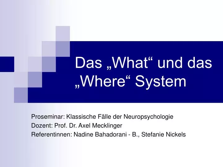 das what und das where system
