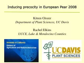 Inducing precocity in European Pear 2008