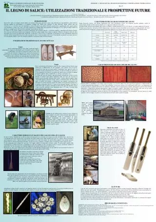 IL LEGNO DI SALICE: UTILIZZAZIONI TRADIZIONALI E PROSPETTIVE FUTURE T. Urso [1] , P. Paiero [2]