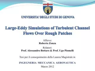 large eddy simulations of turbulent channel flows over rough patches