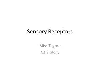 Sensory Receptors