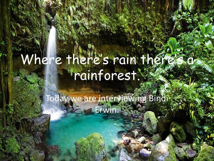where there s rain there s a rainforest