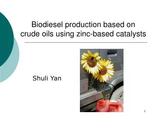 Biodiesel production based on crude oils using zinc-based catalysts