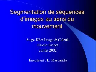 segmentation de s quences d images au sens du mouvement