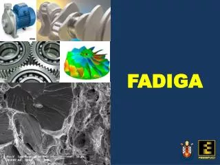fadiga