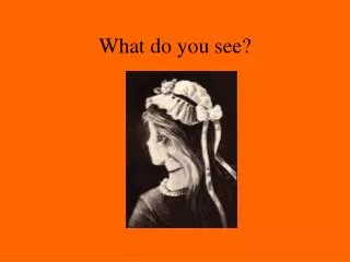 What do you see?