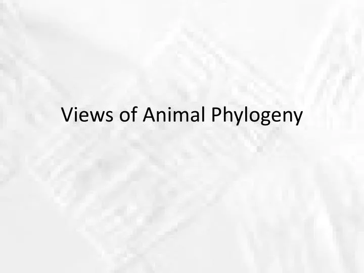 views of animal phylogeny