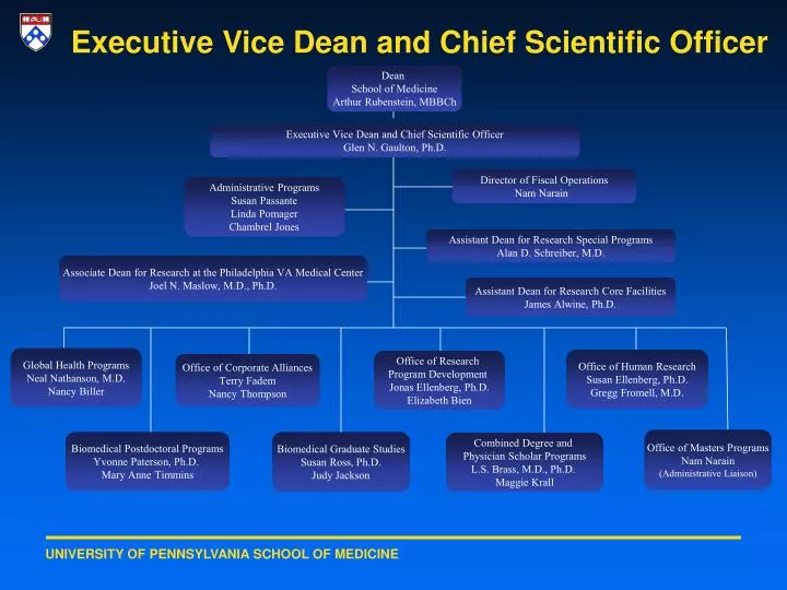 executive vice dean and chief scientific officer