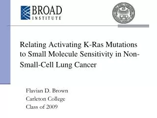 Relating Activating K-Ras Mutations to Small Molecule Sensitivity in Non-Small-Cell Lung Cancer