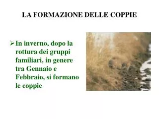 la formazione delle coppie
