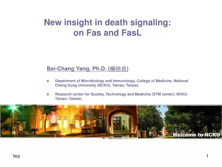 new insight in death signaling on fas and fasl