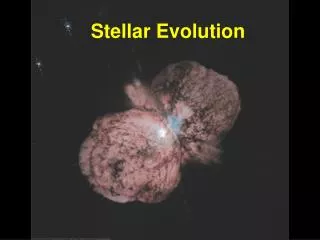 Stellar Evolution