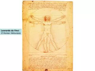 Leonardo da Vinci O Homen Vetruviano