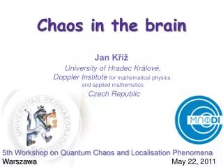 Chaos in the brain