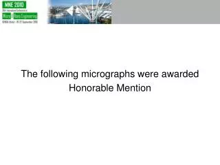 The following micrographs were awarded Honorable Mention