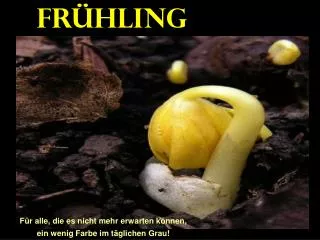 fr hling
