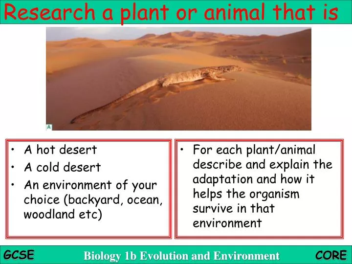 research a plant or animal that is