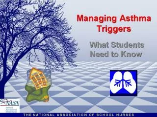 Managing Asthma Triggers