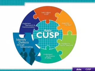 CUSP and Sensemaking Tools 1