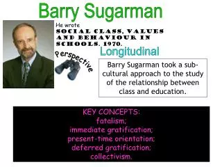 Barry Sugarman