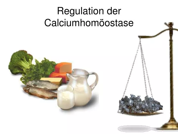regulation der calciumhom ostase